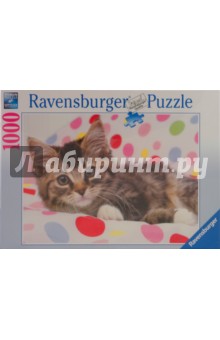Пазл-1000. Полосатый котенок (157570) Пазл-1000. Полосатый котенок (157570)