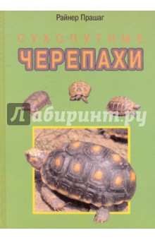 Райнер Прашага - Сухопутные черепахи обложка книги Райнер Прашага - Сухопутные черепахи обложка книги
