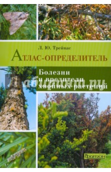 Любовь Трейвас - Болезни и вредители хвойных растений обложка книги Любовь Трейвас - Болезни и вредители хвойных растений обложка книги
