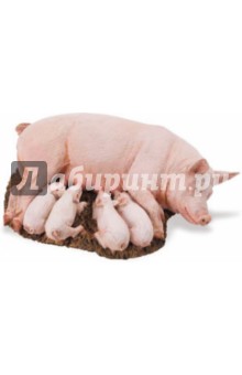 Свинья с поросятами (235929) Свинья с поросятами (235929)