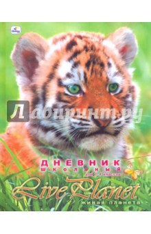 Дневник "Тигренок" (ДМ104808) Дневник "Тигренок" (ДМ104808)