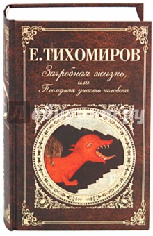 Е. Тихомиров - Загробная жизнь, или Последняя участь человека обложка книги Е. Тихомиров - Загробная жизнь, или Последняя участь человека обложка книги