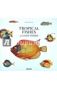 Tropical Fishes of the East Indies - Samuel Fallours