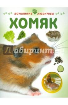 Мэтью Рейнер - Хомяк обложка книги Мэтью Рейнер - Хомяк обложка книги