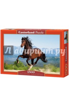Puzzle-1500 "Лошадь" (С-150755) Puzzle-1500 "Лошадь" (С-150755)