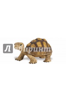 Черепашонок (258629) Черепашонок (258629)