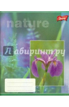 Тетрадь 96 листов, линейка (RDW-303) Тетрадь 96 листов, линейка (RDW-303)