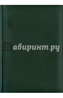 Ежедневник-2011 (72304036) (черный) Ежедневник-2011 (72304036) (черный)