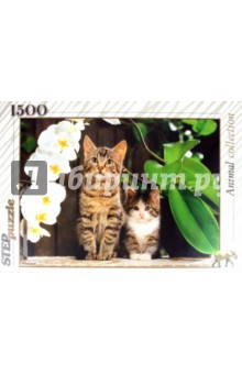 Step Puzzle-1500 "Котята и орхидея" (83040) Step Puzzle-1500 "Котята и орхидея" (83040)