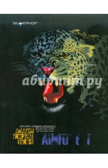 Тетрадь на кольцах 160 листов, клетка, А5, "BE WILD" Тетрадь на кольцах 160 листов, клетка, А5, "BE WILD"