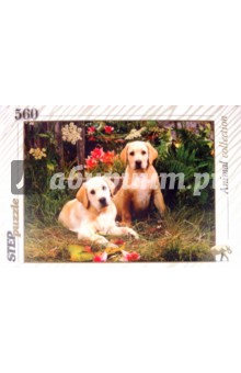 Step Puzzle-560 "Щенки лабрадора" (78076) Step Puzzle-560 "Щенки лабрадора" (78076)