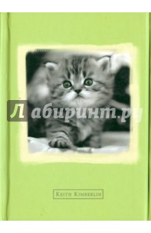 Престиж-блокнот "Кэтс" А6, линейка (HM05) Престиж-блокнот "Кэтс" А6, линейка (HM05)