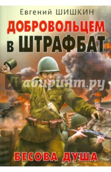 Добровольцем в штрафбат. Бесова душа - Евгений Шишкин