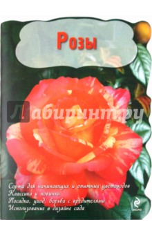 Розы - Евгений Писарев