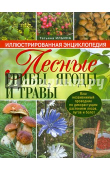 Татьяна Ильина - Лесные грибы, ягоды и травы обложка книги Татьяна Ильина - Лесные грибы, ягоды и травы обложка книги