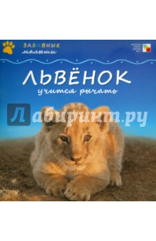 Сужата Менон - Львенок учится рычать обложка книги Сужата Менон - Львенок учится рычать обложка книги