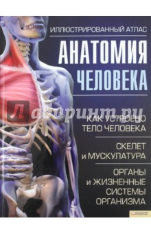 Анатомия человека. Иллюстрированный атлас - Adolfo Cassan
