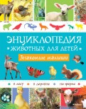 Руайе, Барбе-Жюльен — Энциклопедия животных для детей. Знакомые малыши обложка книги