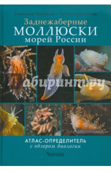 Мартынов, Коршунова - Заднежаберные моллюски морей России. Атлас-определитель с обзором биологии обложка книги Мартынов, Коршунова - Заднежаберные моллюски морей России. Атлас-определитель с обзором биологии обложка книги