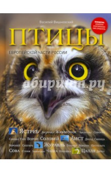 Птицы Европейской части России - Василий Вишневский