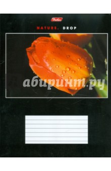 Тетрадь 18 листов, клетка, А5 "КАПЕЛЬКИ" (18Т5влВ1) Тетрадь 18 листов, клетка, А5 "КАПЕЛЬКИ" (18Т5влВ1)