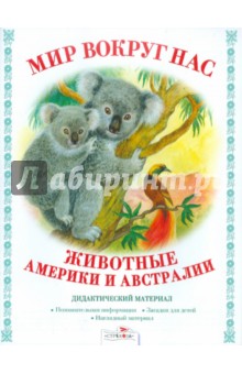 Дидактический материал