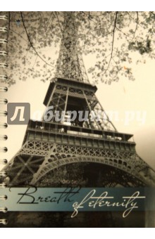 Тетрадь 120 листов "КЛАССИКА", клетка, гребень, разделители (811241-95) Тетрадь 120 листов "КЛАССИКА", клетка, гребень, разделители (811241-95)