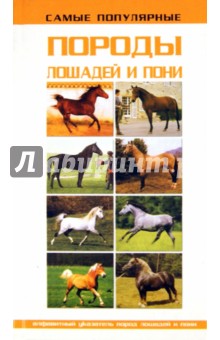Самые популярные породы лошадей и пони