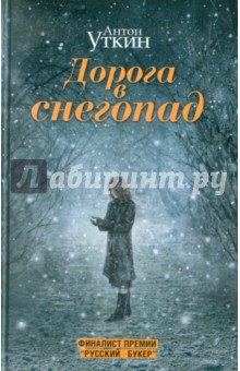 Антон Уткин - Дорога в снегопад обложка книги Антон Уткин - Дорога в снегопад обложка книги