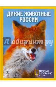 Дикие животные России обложка книги Дикие животные России обложка книги
