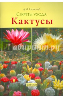 Дмитрий Семенов - Кактусы обложка книги Дмитрий Семенов - Кактусы обложка книги