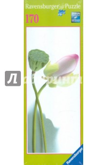 Пазл-170 "Кувшинка" (панорама) (151264) Пазл-170 "Кувшинка" (панорама) (151264)