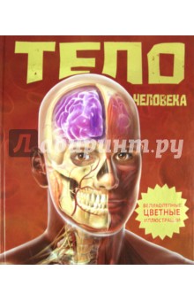 Линда Калабрези - Тело человека обложка книги Линда Калабрези - Тело человека обложка книги