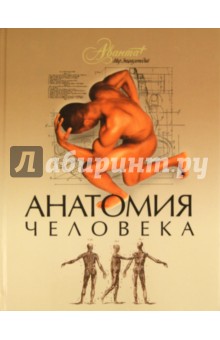 Анатомия человека обложка книги Анатомия человека обложка книги
