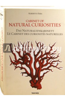 Cabinet of Natural Curiosities - Musch, Rust, Willmann