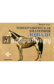 Топографическая анатомия лошади - Питер Гуди