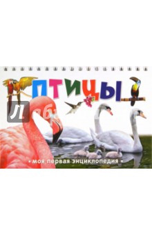Птицы обложка книги Птицы обложка книги
