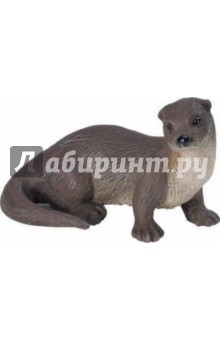 Речная выдра (291529) Речная выдра (291529)