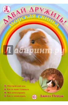 Морская свинка - Джилл Пейдж