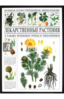 Читать учебник по истории за 7 класс данилов а.а косулина л.г