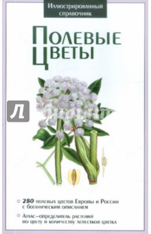 Полевые цветы обложка книги Полевые цветы обложка книги