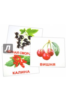Комплект карточек Ягоды (16,5х19,5 см) - Носова, Епанова