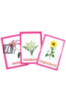 Логопедические карточки Логопедка Л