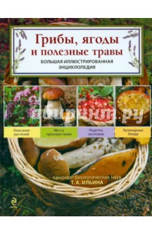 Грибы, ягоды и полезные травы - Татьяна Ильина