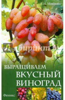 Выращиваем вкусный виноград