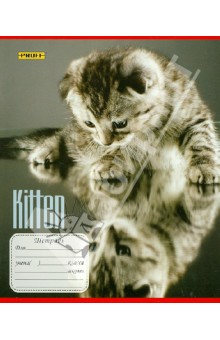 Тетрадь 12 листов "Kitten" клетка (6125125084) Тетрадь 12 листов "Kitten" клетка (6125125084)