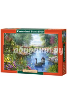 Puzzle 1500 элементов, "Черные лебеди" (C-151042) Puzzle 1500 элементов, "Черные лебеди" (C-151042)