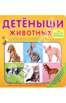 Детёныши животных (от 0 до 18 месяцев) обложка книги Детёныши животных (от 0 до 18 месяцев) обложка книги