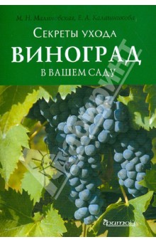 Малиновская, Калашникова - Виноград в вашем саду обложка книги Малиновская, Калашникова - Виноград в вашем саду обложка книги