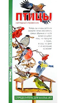 Птицы. Наглядный справочник. Определитель для малышей обложка книги Птицы. Наглядный справочник. Определитель для малышей обложка книги